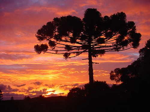 Por do Sol